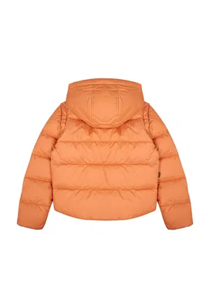 Пуховик-трансформер Woolrich 0200   221/9A Ціна