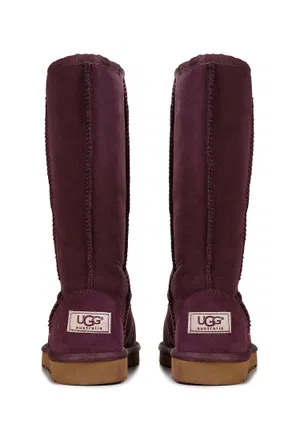 Замшеві чоботи UGG 5229  S210/8FM1 в Україні