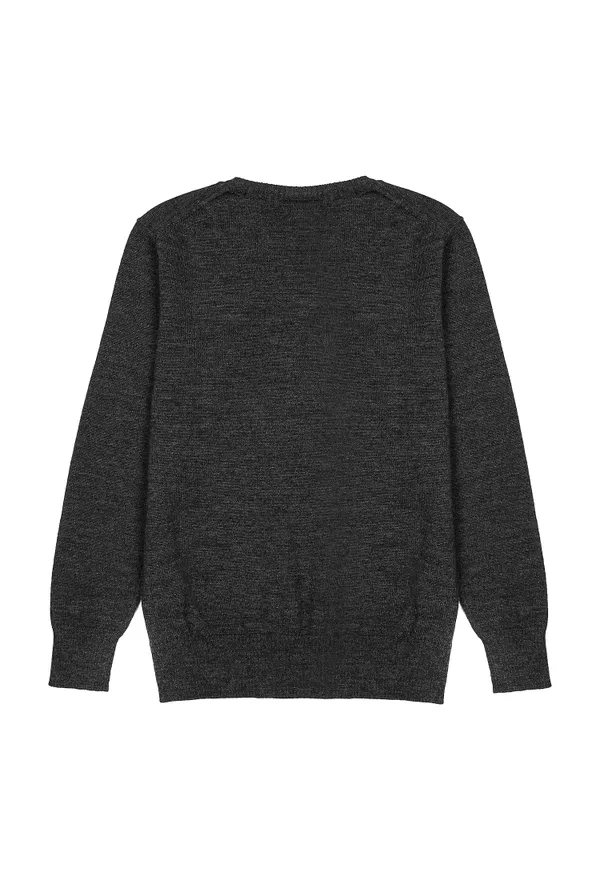 Вовняний пуловер Polo Ralph Lauren SSWVN V211/97 Ціна
